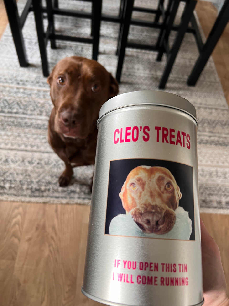 Pet Treat Tin - Dog Biscuits Metal tin, treats - Custom Personalised pet item